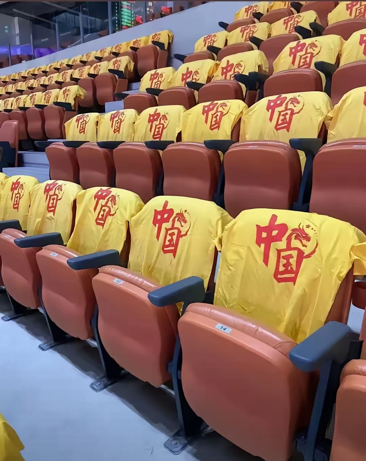关于Doinb重返赛场，出色防守首场状态出色，法国队观众沸腾！的信息